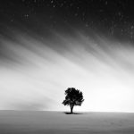 Single tree with night sky, world spinning