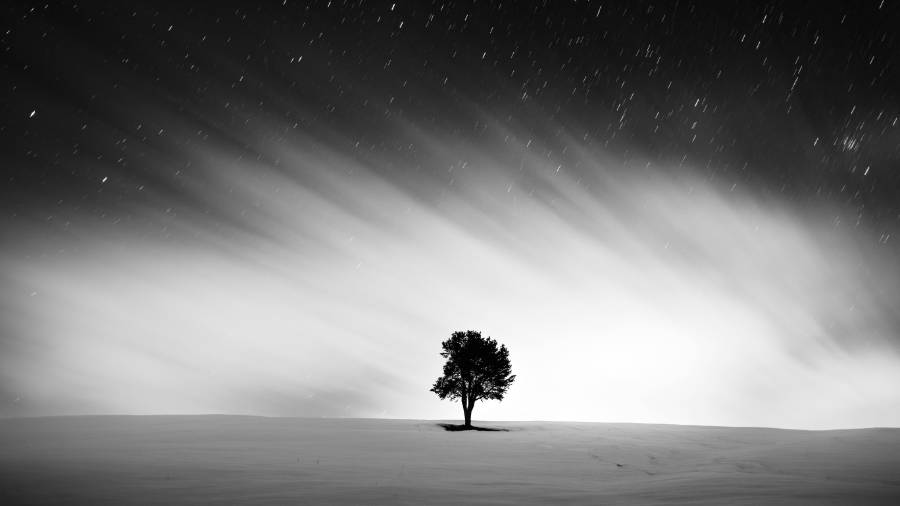 Single tree with night sky, world spinning